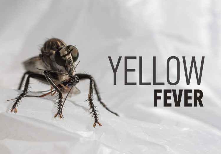 Staying Safe from Yellow Fever: Travel Tips and Precautions