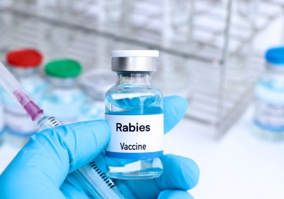 Family Travel: Ensuring Rabies Safety for Children