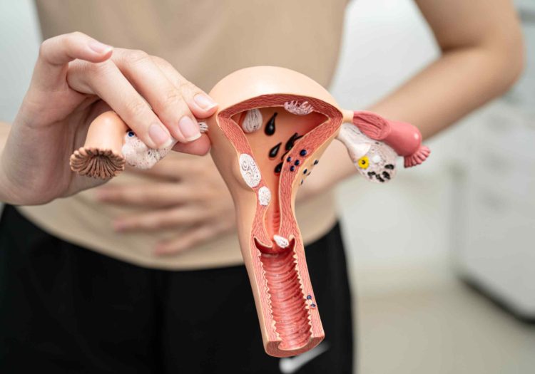 HPV vaccine concept with female reproductive model